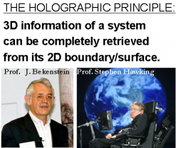 holoprinciple